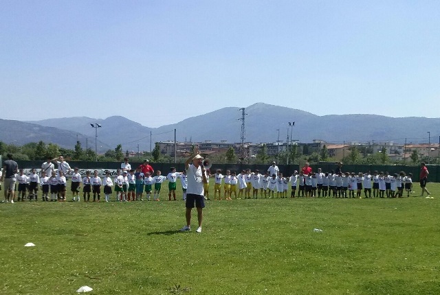 Immagine prato 1 gns