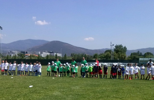 Immagine prato 2 gns