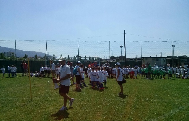 Immagine prato 3 gns