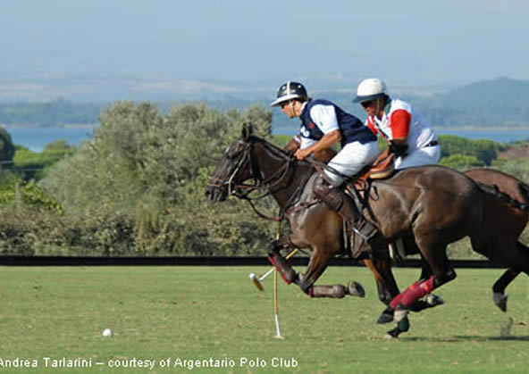POLO CLUB ARGENTARIO