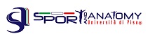 sport anatomy